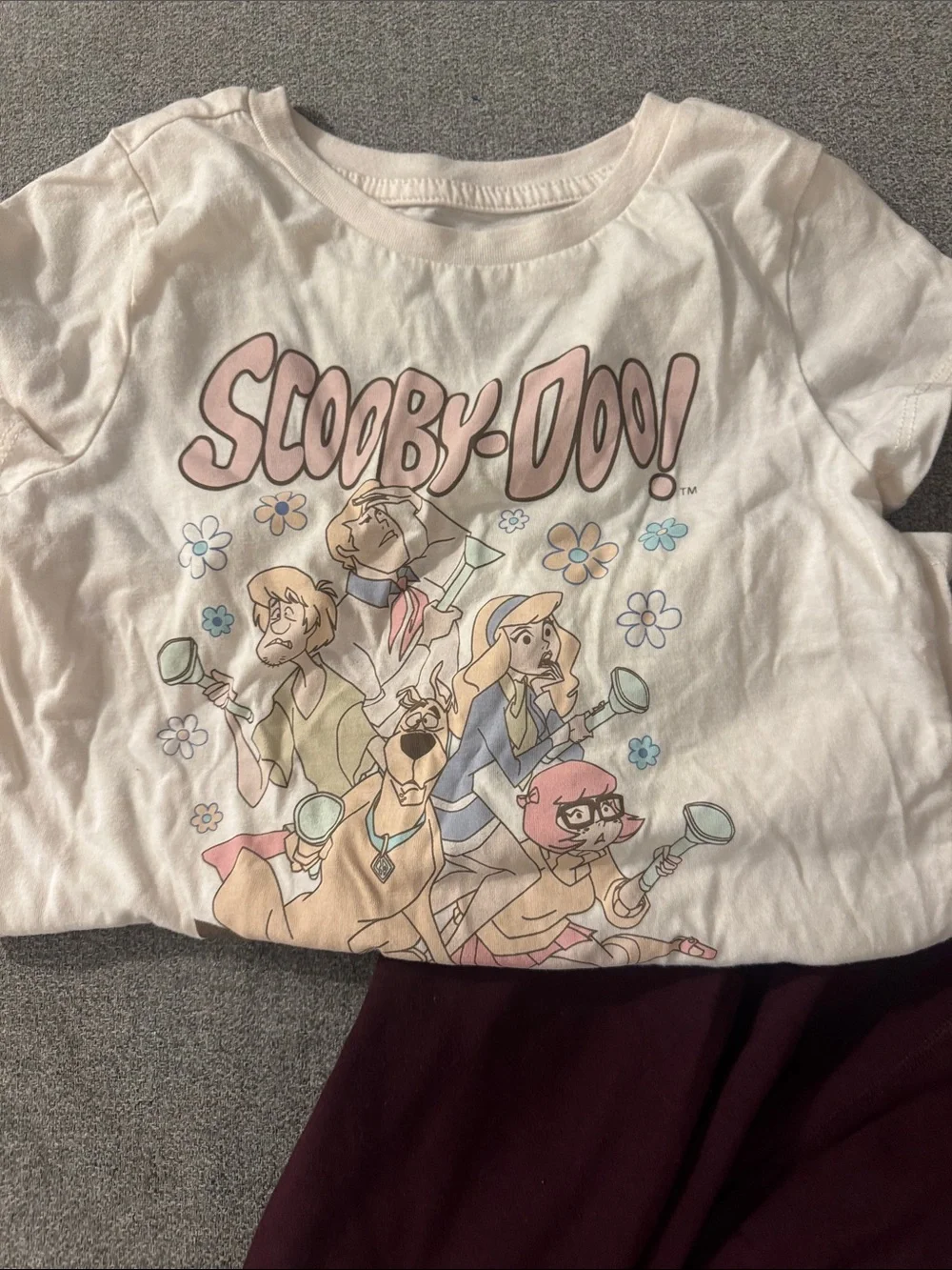5/$15- Girl’s outfit size medium